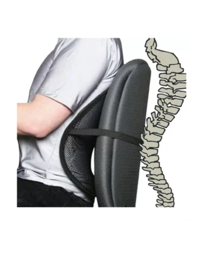 ESPALDAR Y APOYO LUMBAR | Premium