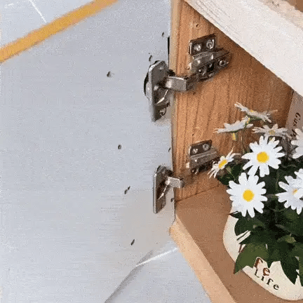 🔩 KIT REPARADOR DE BISAGRAS PRO – PACK X8 PIEZAS + TORNILLOS GRATIS🎁