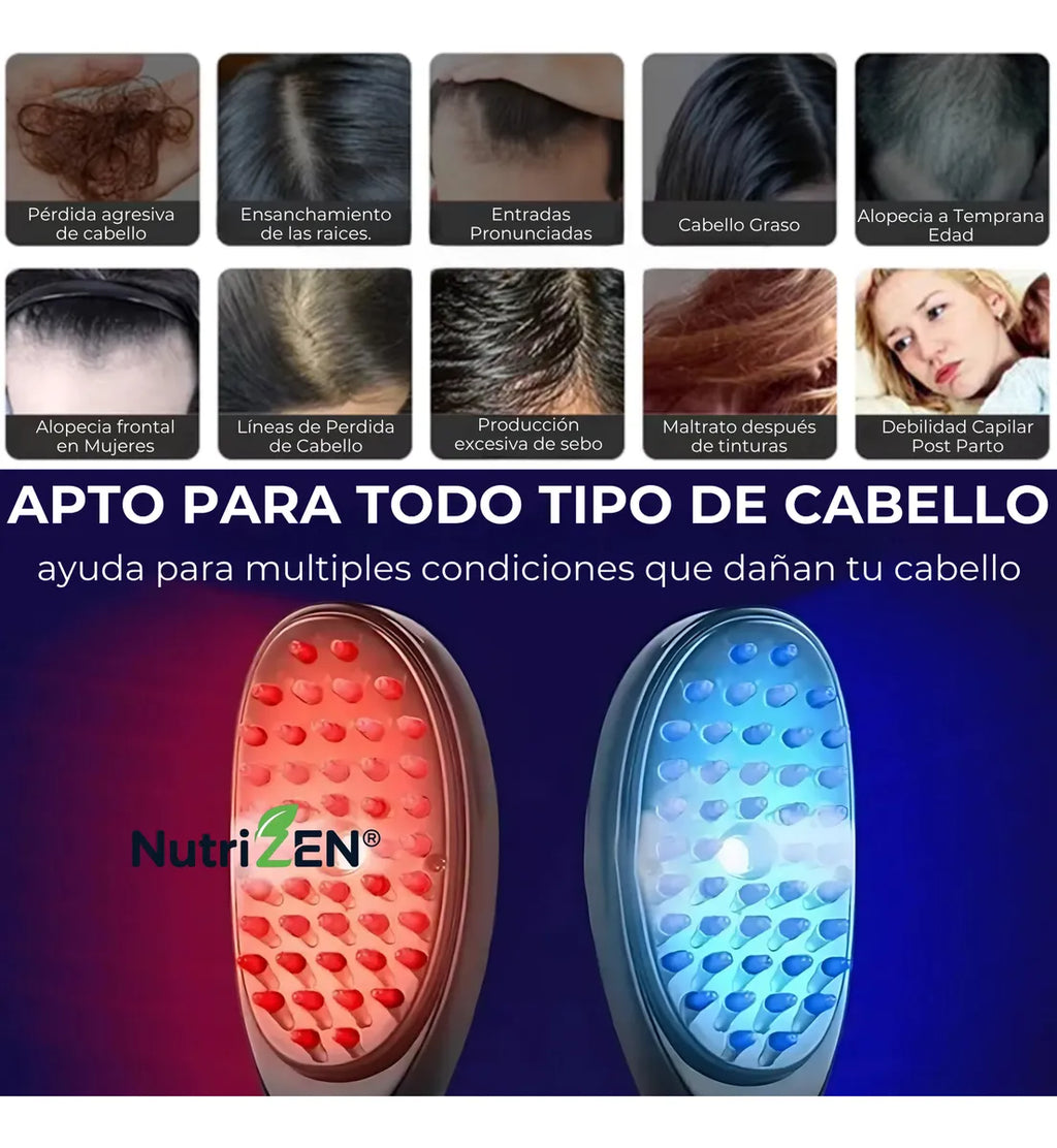 CEPILLO VAPOR | NutriZen