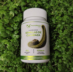 Semillas Calabaza Premium | Prostata