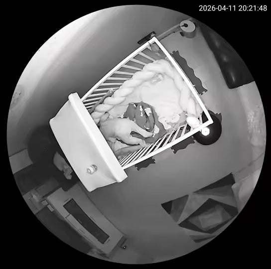 Cámara Inteligente 360° | Seguridad Premium
