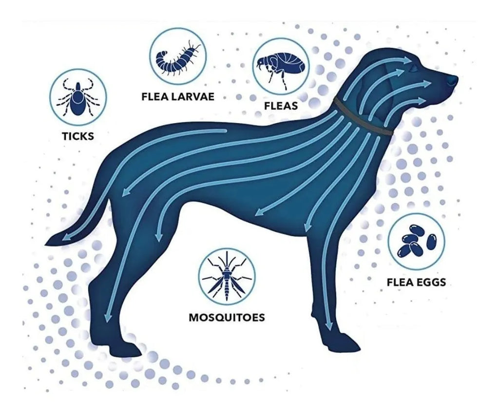 Collar Anti Pulgas y Garrapatas