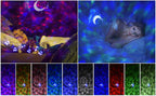 Proyector Led Galaxia Nebuloza